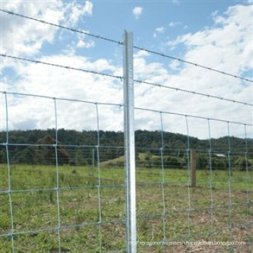 Hot Dipped Galvanized Farm Fence